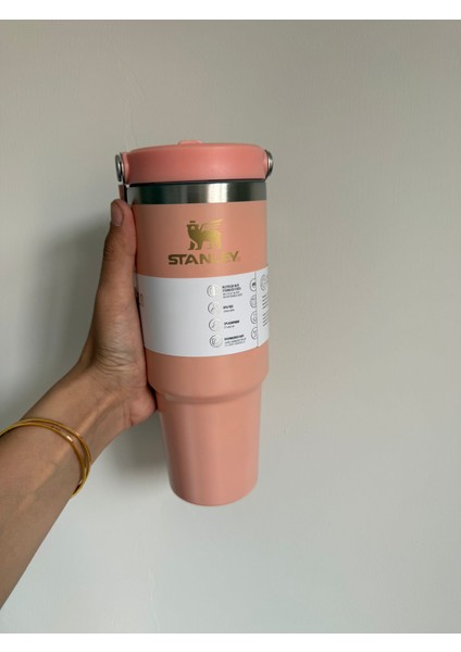 The Iceflow Flip Straw Pipetli Termos Bardak 0.89 modelleri