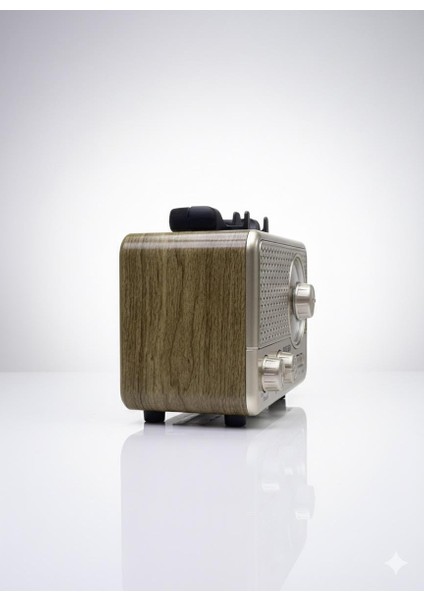 Profteknik M-1231BT Retro Tasarımlı Kablosuz Radyo ve Hoparlör