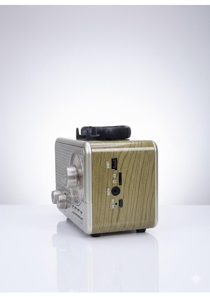 Profteknik M-1231BT Retro Tasarımlı Kablosuz Radyo ve Hoparlör fiyatları