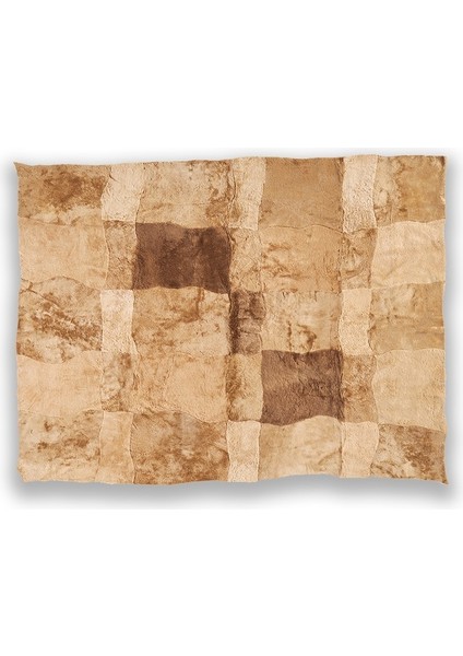 Agkhome Agkhome Kuzu Kürkü Moska Parça Halı 220X169 cm fırsatları