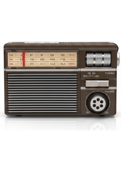 Profteknik MD-969S Klasik Tasarımlı Çok Fonksiyonlu Radyo