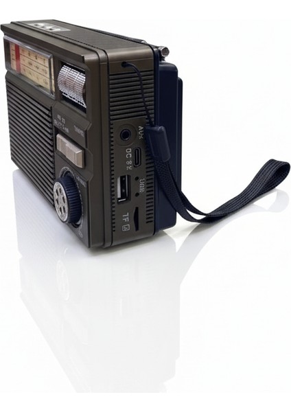 Profteknik MD-969S Klasik Tasarımlı Çok Fonksiyonlu Radyo fiyatları