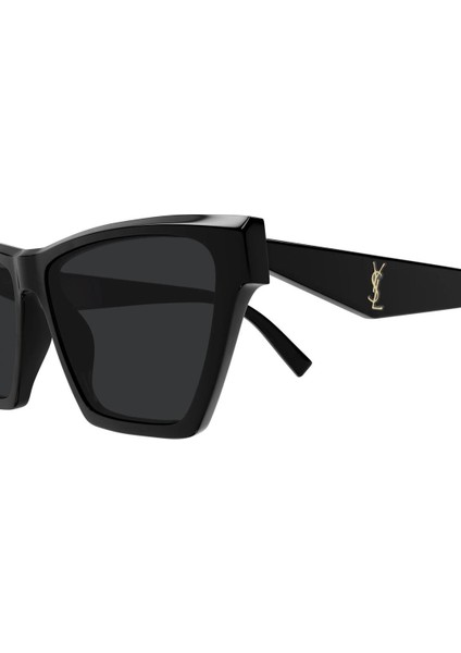 Yves Saınt Laurent M103 005 modelleri