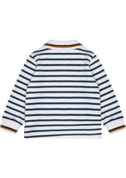 Çizgili Polo Yaka Erkek Bebek Uzun Kol Tişört fiyatları