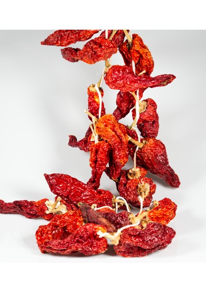 Kale Biberi -1 Bağ fiyatları