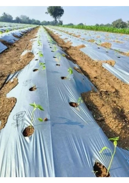 Mulch Örtüsü ve Çok Amaçlı Koruyucu Örtü 55CM x 5m fiyatları