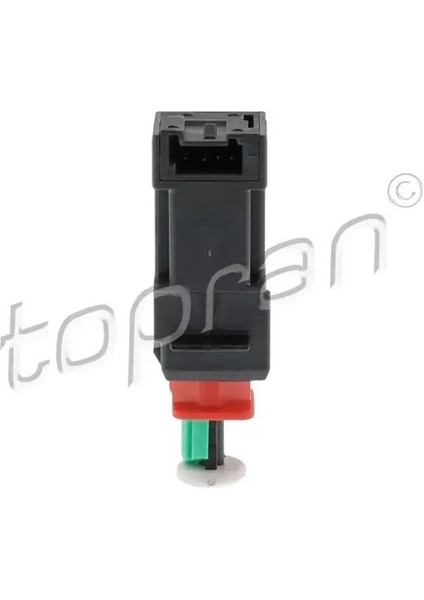 207815001 Fren Musiri 09185906 13178792 55701395