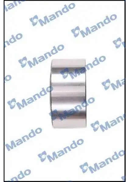 EBT10019K Alternator Gergi Bilyasi 2481023011 2481023500