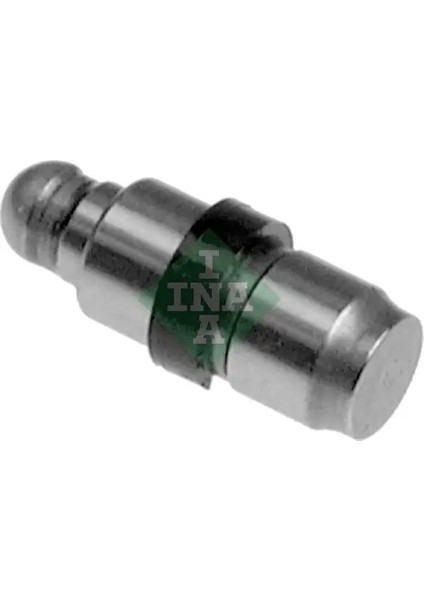 420018210 Supap Iticisi 094289 11337805974 1289167G01 (8 Adet Fiyatıdır)