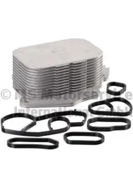 709269300 Motor Yag Sogutucusu 1103K2 1145941 1660073J00