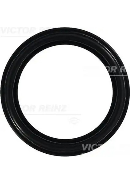 713565900 Supap Kapak Contasi 7715492