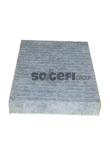 AHC284 Polen Filtresi (Karbonlu) 272771128R 272778859R 272778980R