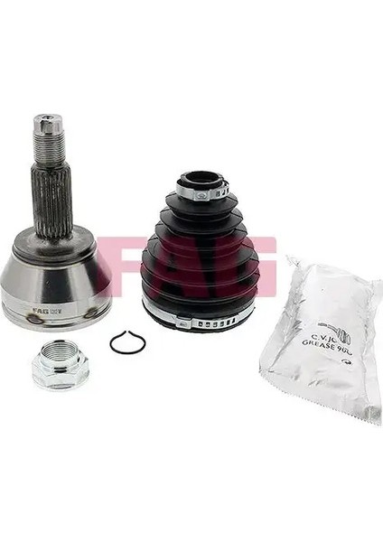 771074830 Dis Aks Kafasi 1078677 1689904 6195781