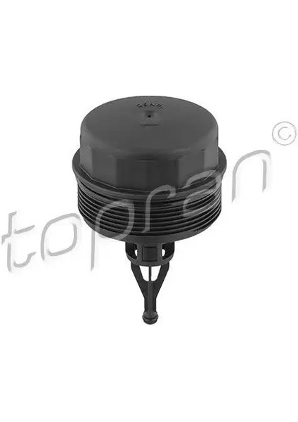 409800001 Yag Filtre Kapagi A6421800038