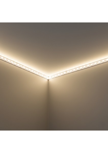 5 Metre Şerit LED 3 Çip Iç Mekan Silikonsuz Günışığı fırsatları
