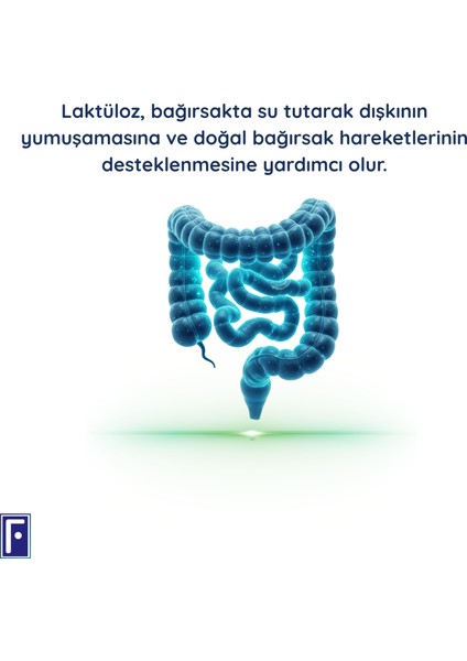B Kompleks & L- Karnitin + Lifylact Flor Probiyotik , Prebiyotik fırsatları
