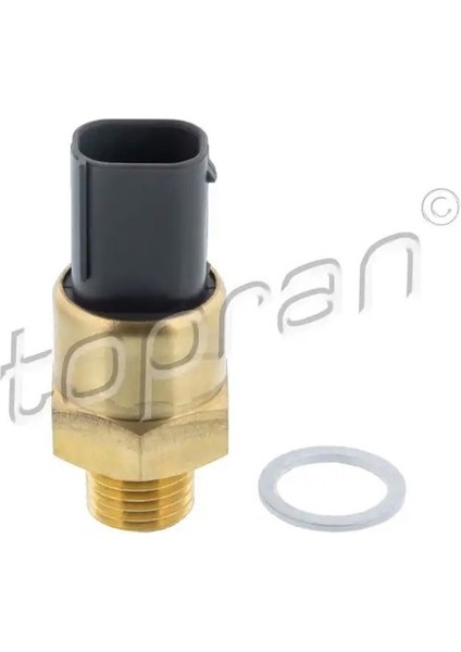 500533001 Fan Musiri 61318376440