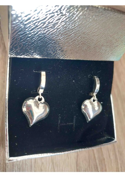 925 Ayar Kalp Sallantılı Küpe