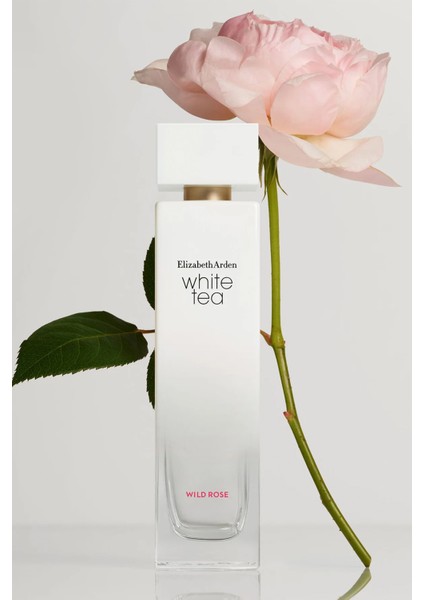 White Tea Wild Rose EDT Kadn Parfüm 100ML fiyatları