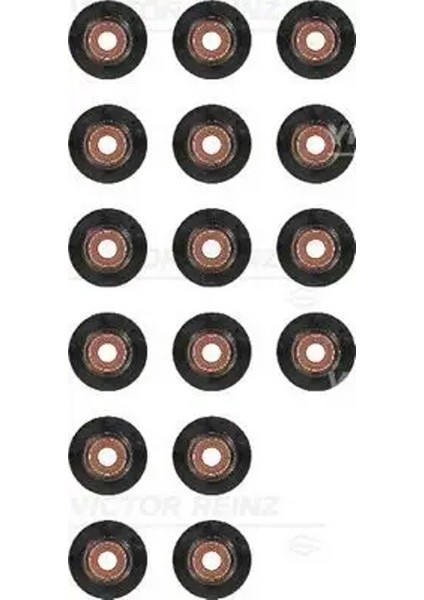 123755301 Supap Lastigi 095161 500395378