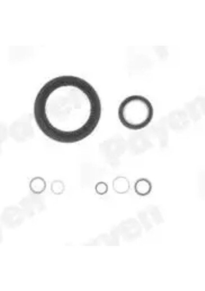 EG7950 Motor Takim Conta (Alt) 7701473503 7701475822