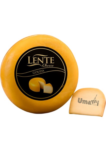 Cheese Gouda 4,8–5,5 kg | Zengin Aromalı Tam Yağlı Peynir
