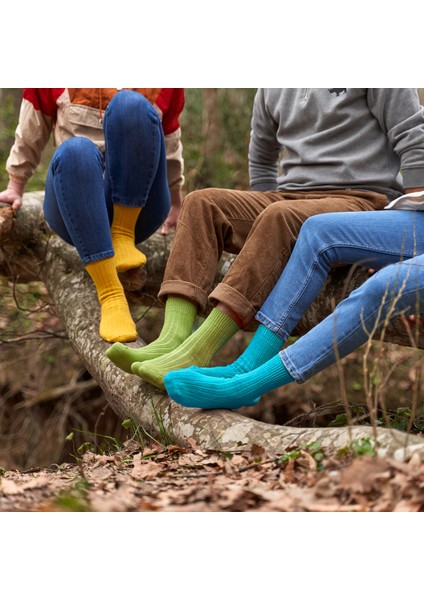 4 Çift Kadın Erkek Renkli Bio Naturel %100 Doğal Pamuklu Ribana Örgü Dikişsiz Soket Çorap 3014 fiyatları