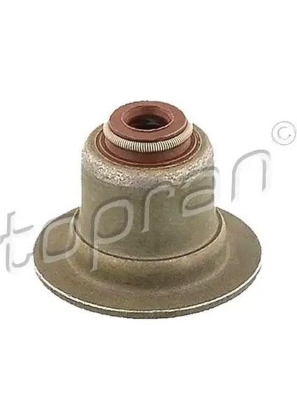 302178001 Supap Lastigi 1119848 1206655 1D00101F5 (8 Adet Fiyatıdır)