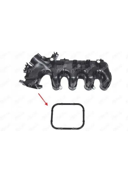 19936 Emme Manifold Contasi