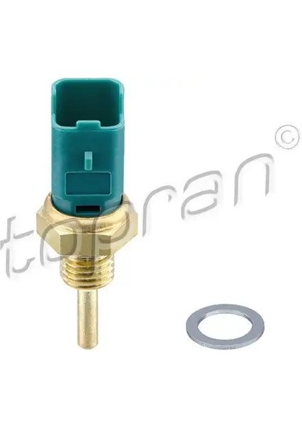 206884001 Hararet Musiri 1338040 1538606 46554621