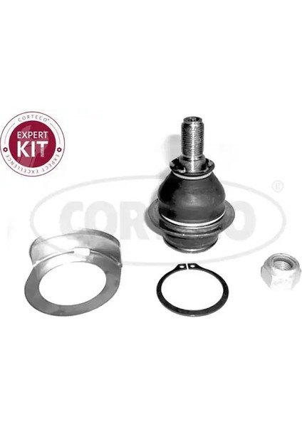 49398526 Rotil Alt 1417352 1451914 1763713