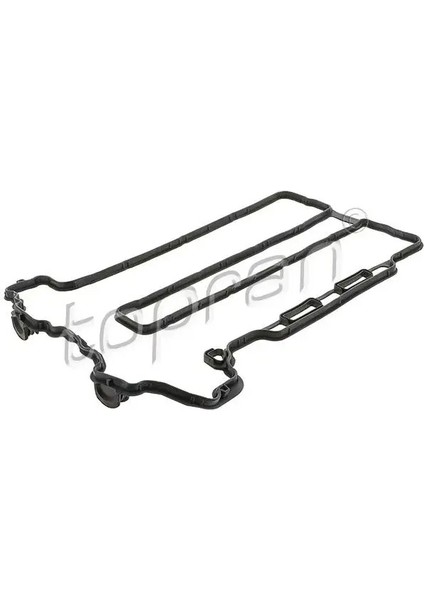 206134001 Supap Kapak Contasi 0638741 638741 90530075