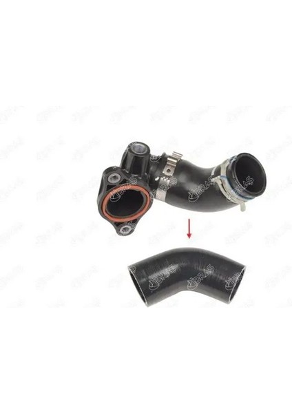 11001 Egr Borusu 147138070R 147138491R