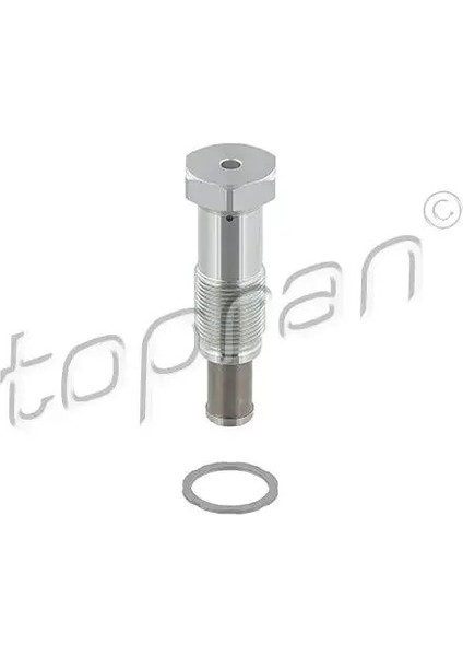 502635001 Eksantrik Zincir Gergisi 0829E1 0829G3 11314609482