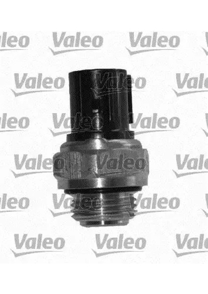 820334 Fan Musiri 37760P00003 37760P00004 37773PLZE01