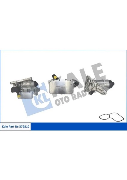 379810 Motor Yag Sogutucusu 1520800Q1B 4420985 8201005235