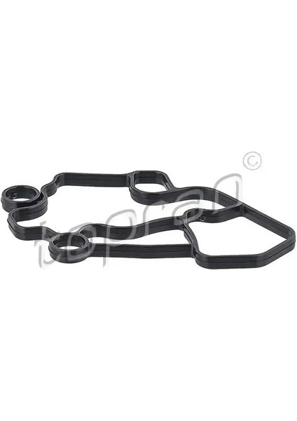 115744001 Yag Filtre Contasi 06F115441 06F115441A 06F115441B