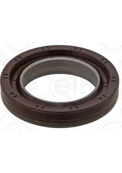 431110 On Krank Kecesi 504014155 504123772