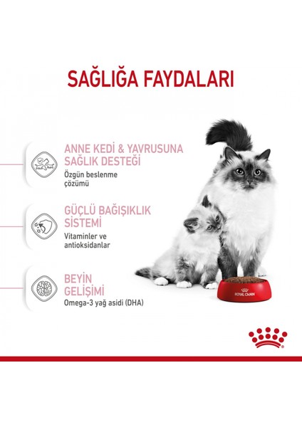 Mother&babycat Gebe/laktasyondaki Anne Ve Yavru Kedi Için Kuru Ke