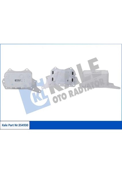 354930 Motor Yag Sogutucusu 152081926R 4423048 6000616620