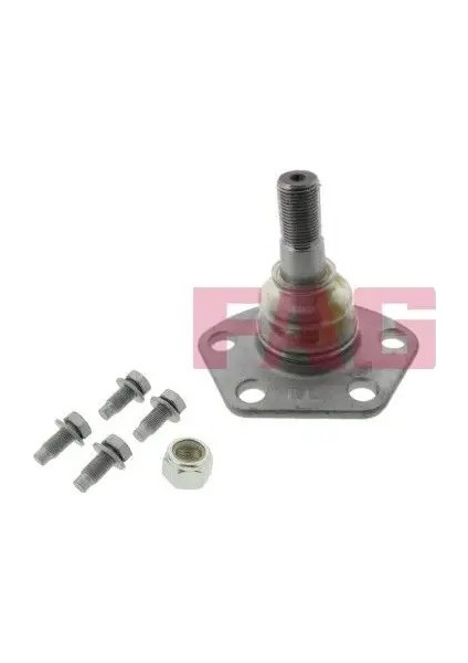 825019110 Rotil Alt 1300473080 364033