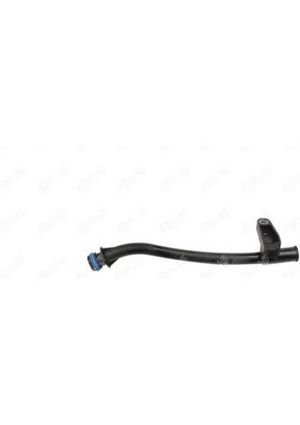 19824 Yag Cubugu Yuvasi