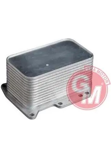 40832 Motor Yag Sogutucusu 8201005241