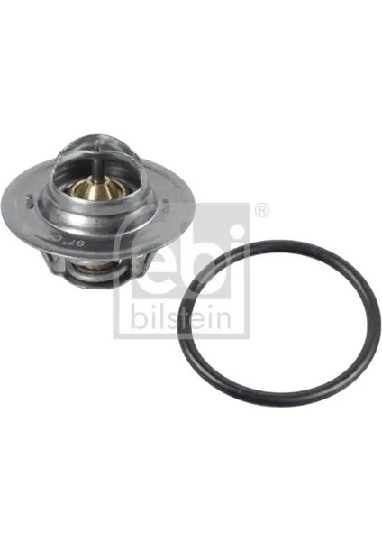 17890 Termostat 050121113C 06B121113A 50121113C