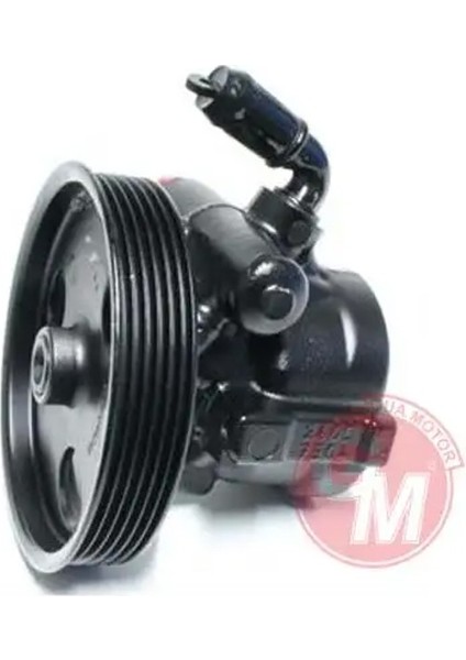 41557 Direksiyon Pompasi 491100031R