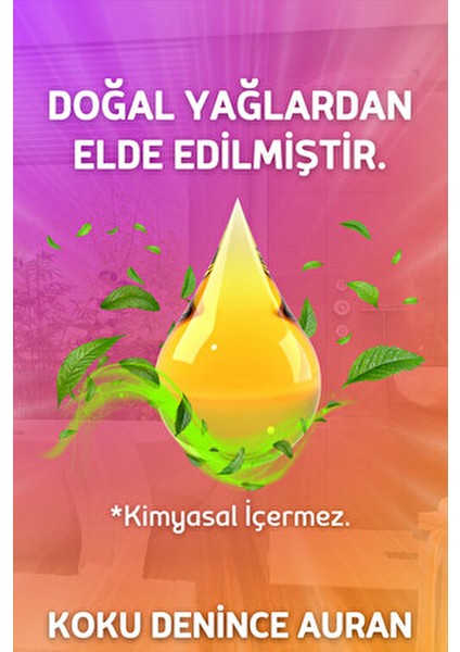 Kadın Vücut Spreyi Yüksek Kalıcılıkta Parfüm 100 ml Şık Ambalajla indirimleri