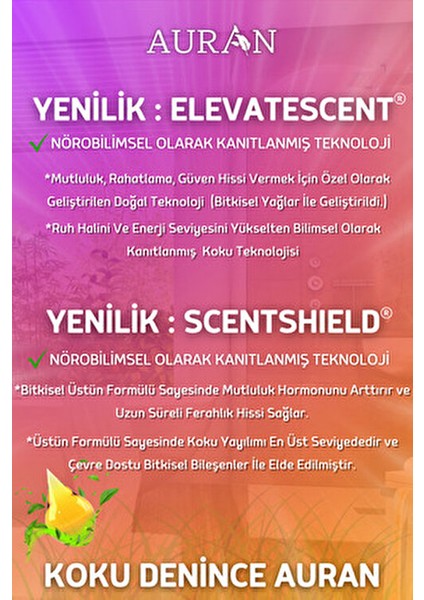 Kadın Vücut Spreyi Yüksek Kalıcılıkta Parfüm 100 ml Şık Ambalajla