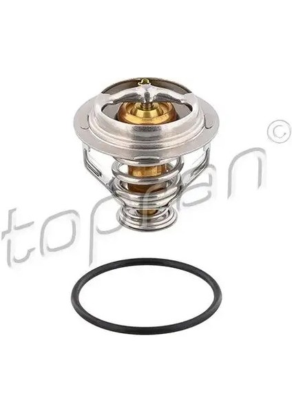 117063001 Termostat 06J121113 06J121113A 06J121113C