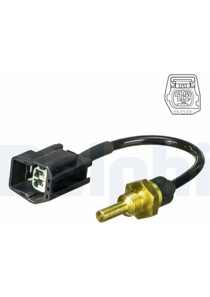 TS10493 Hararet Musiri 9125463