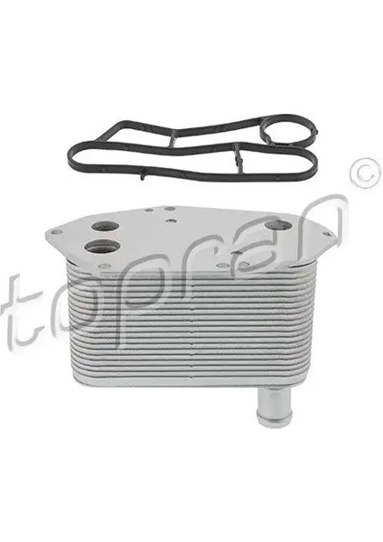 625277001 Motor Yag Sogutucusu 11422247204